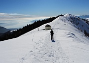 ppmt2021 076m